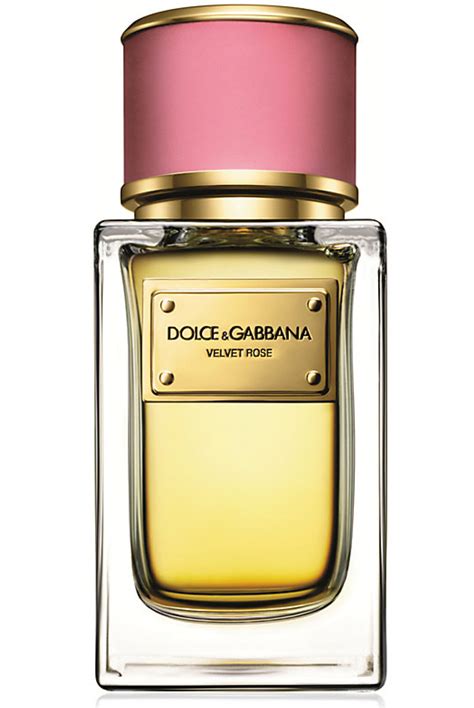 dolce gabbana rose perfume.